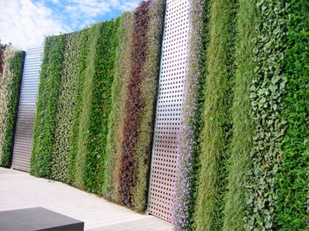 Living Walls Using Drippers